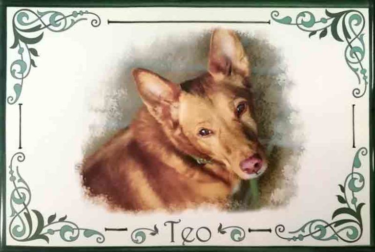 Calcografía en cerámica con retrato de mascota perro, Cerámicas Artesur. Retrato en calcografía