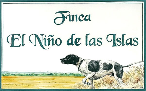 Ejemplo con perro de caza